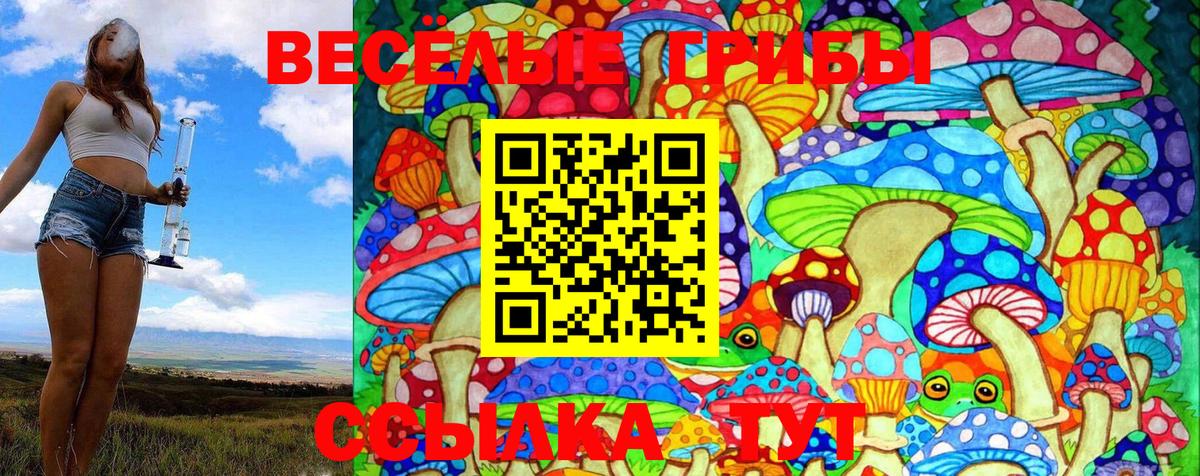 Псилоцибиновые грибы Cubensis Ахтубинск