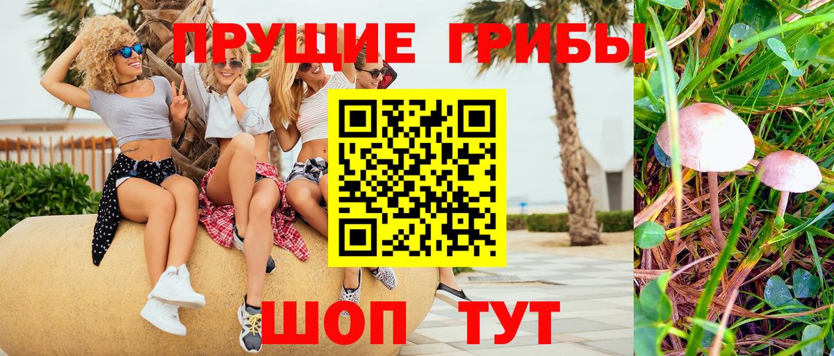 Ахтубинск  Псилоцибиновые грибы мицелий  Вход с VPN 